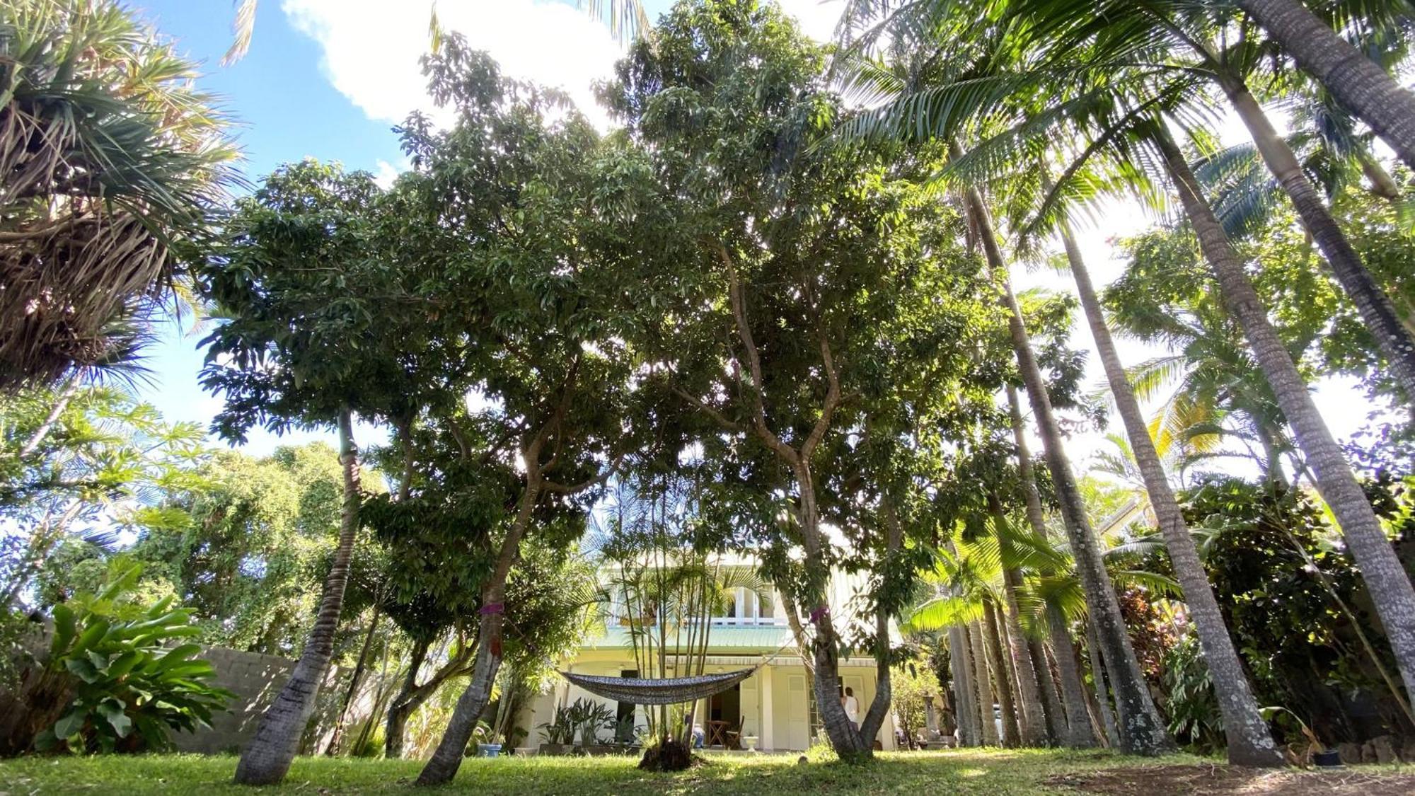 Coliver - Coliving A La Reunion Saint Pierre Bagian luar foto