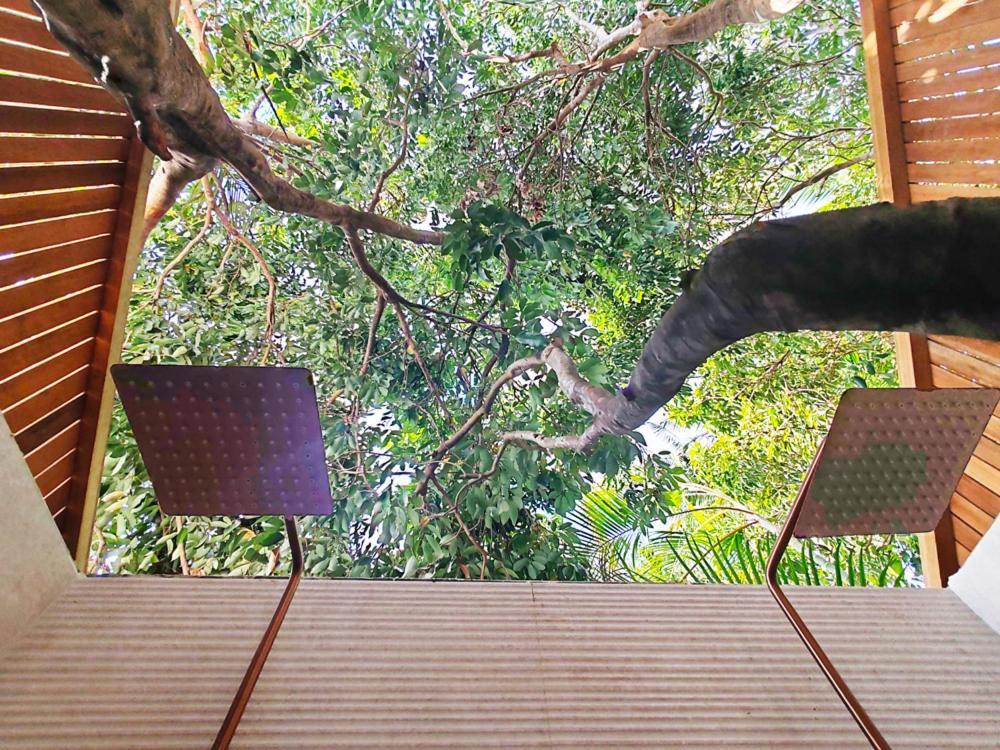 Coliver - Coliving A La Reunion Saint Pierre Bagian luar foto