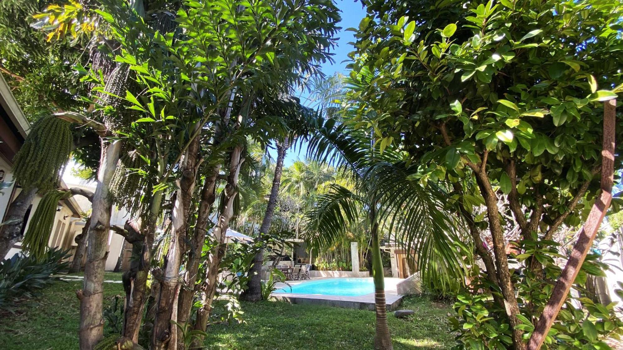Coliver - Coliving A La Reunion Saint Pierre Bagian luar foto