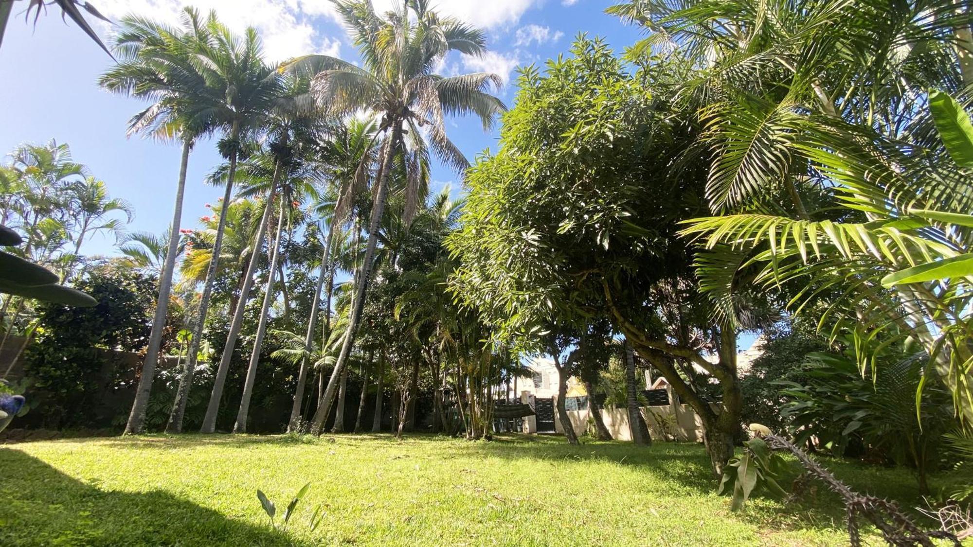 Coliver - Coliving A La Reunion Saint Pierre Bagian luar foto