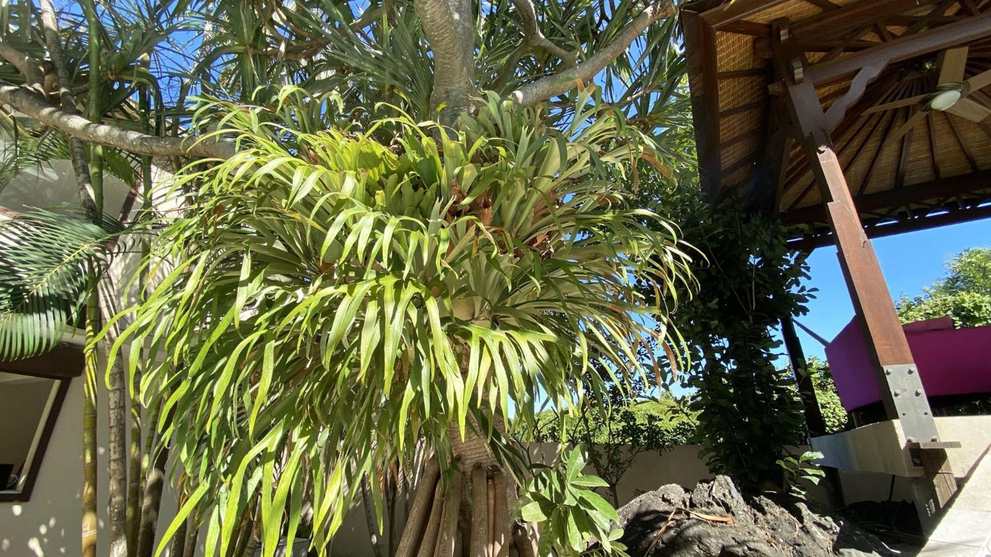Coliver - Coliving A La Reunion Saint Pierre Bagian luar foto