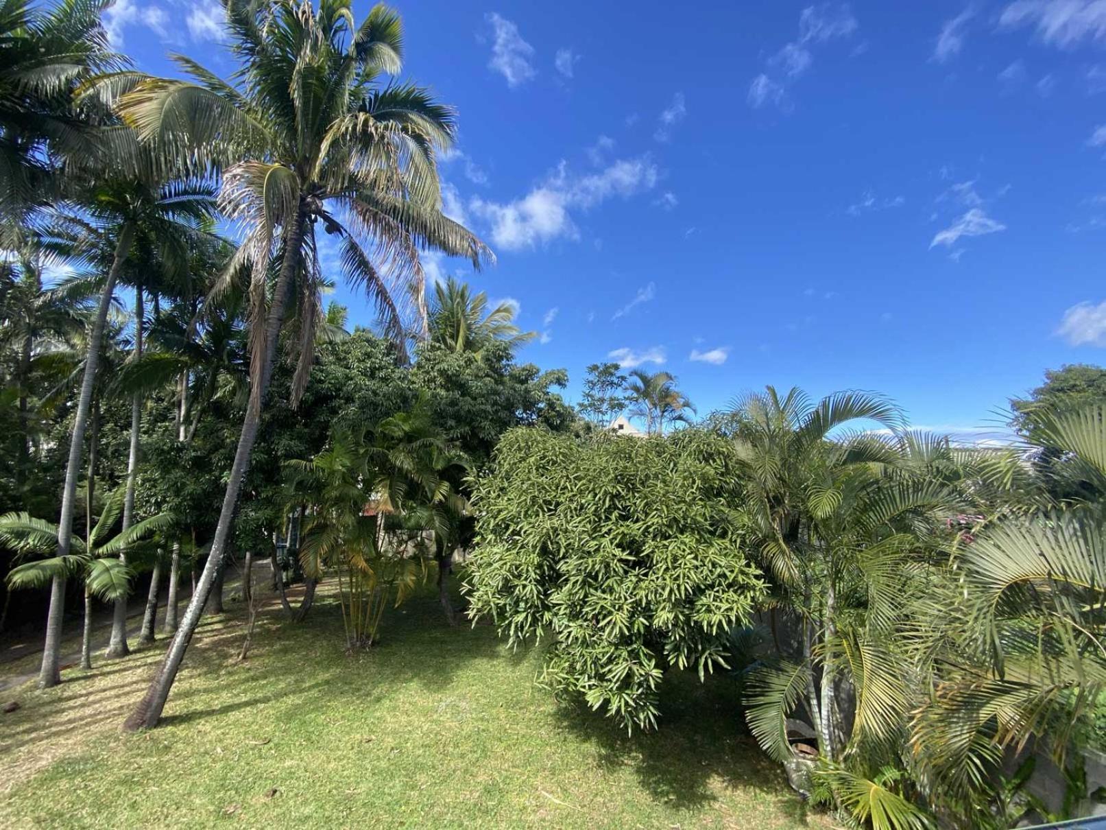 Coliver - Coliving A La Reunion Saint Pierre Bagian luar foto