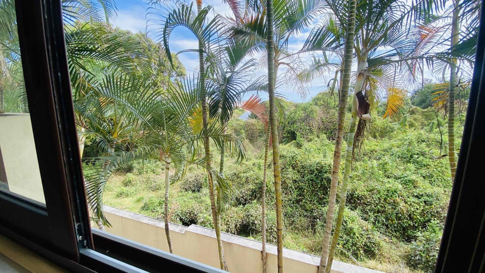 Coliver - Coliving A La Reunion Saint Pierre Bagian luar foto